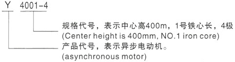 西安泰富西玛Y系列(H355-1000)高压伊宁县三相异步电机型号说明
